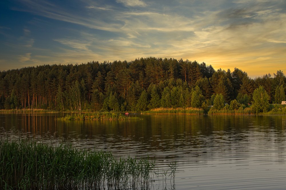 Фотография автора Роман