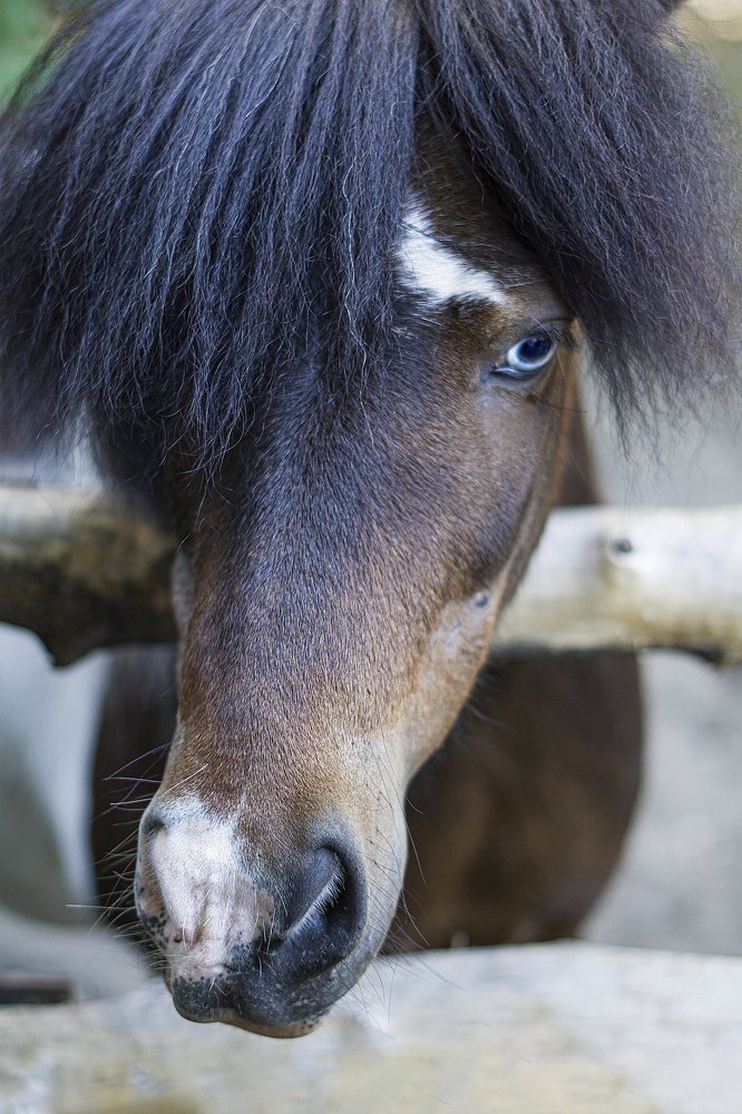 Photograph by Ольга Беспалько