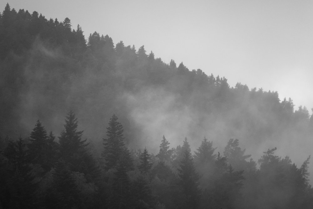 Photograph by Сергей Музраев