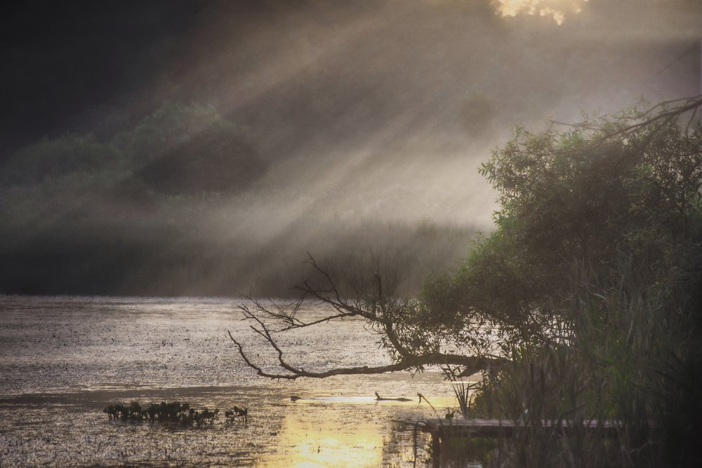 Photograph by Ekaterina Fadeeva