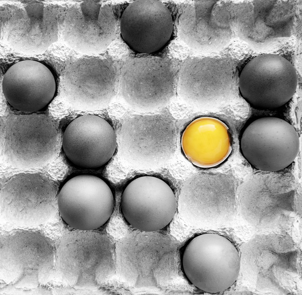 Photograph by Агарков Алексей