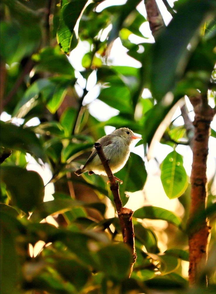 Photograph by Madhukar Patil