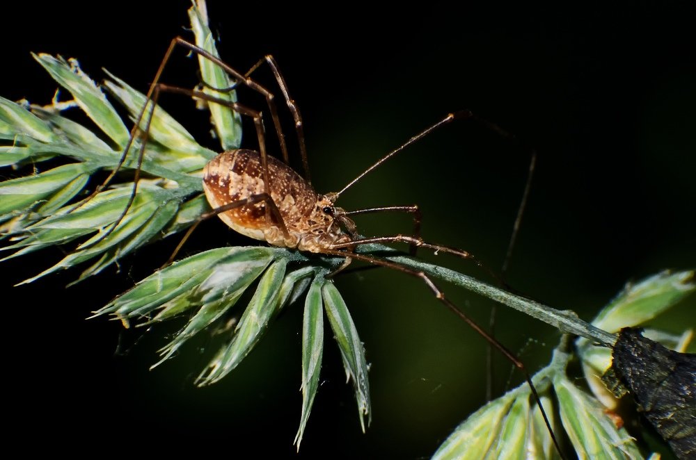 Photograph by маргиз Сафаров