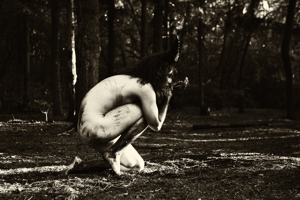 Фотография автора Екатерина Павлова