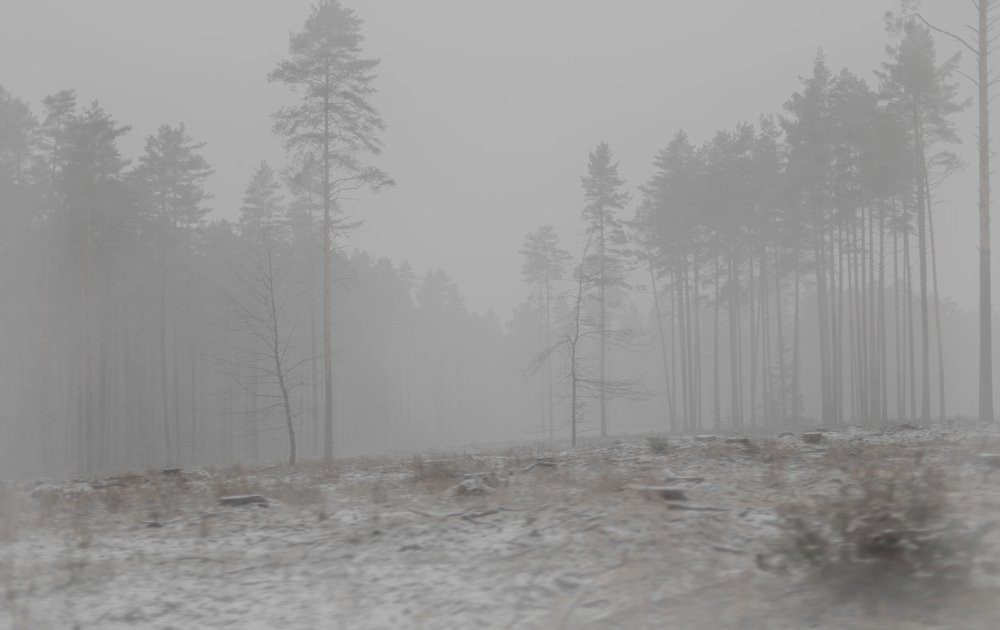 Photograph by Наталья Шалкевич