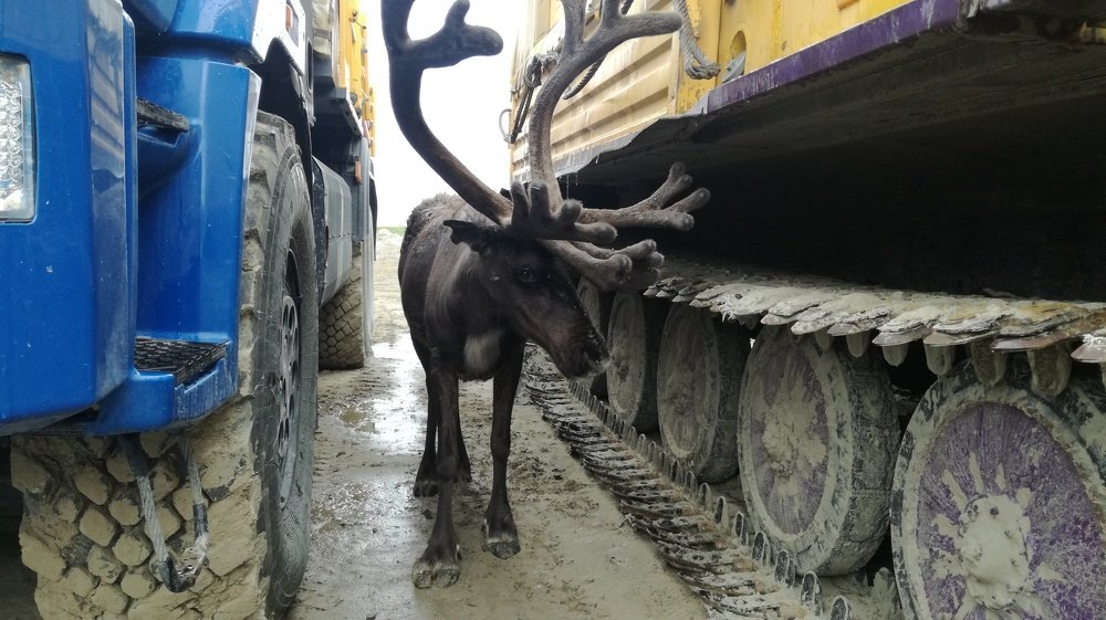 Фотография автора евгений митрошин