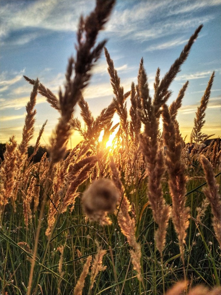 Photograph by Александр Ворона