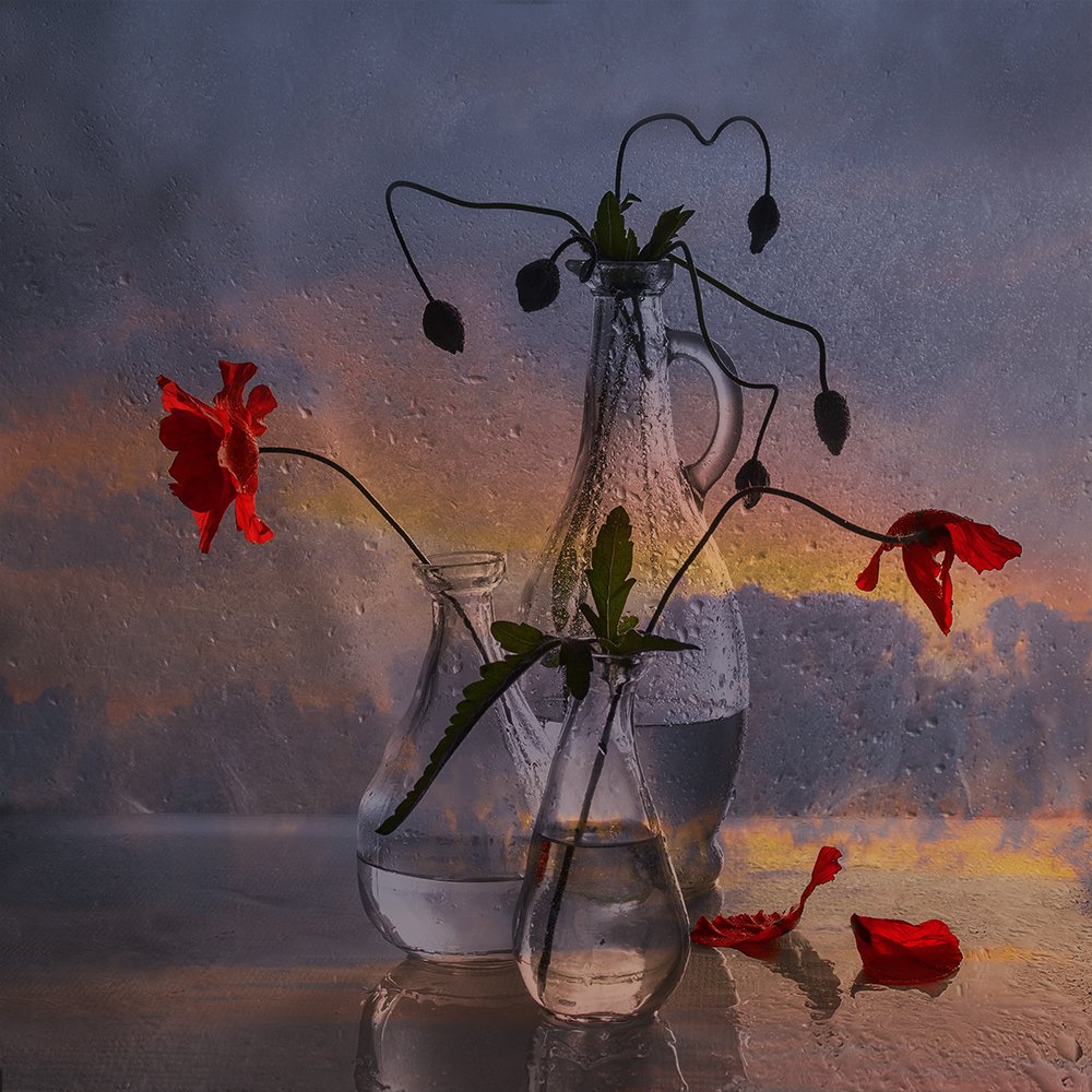 Облетают последние маки.