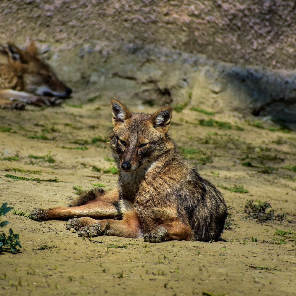 Photograph by AJAY KUMAR