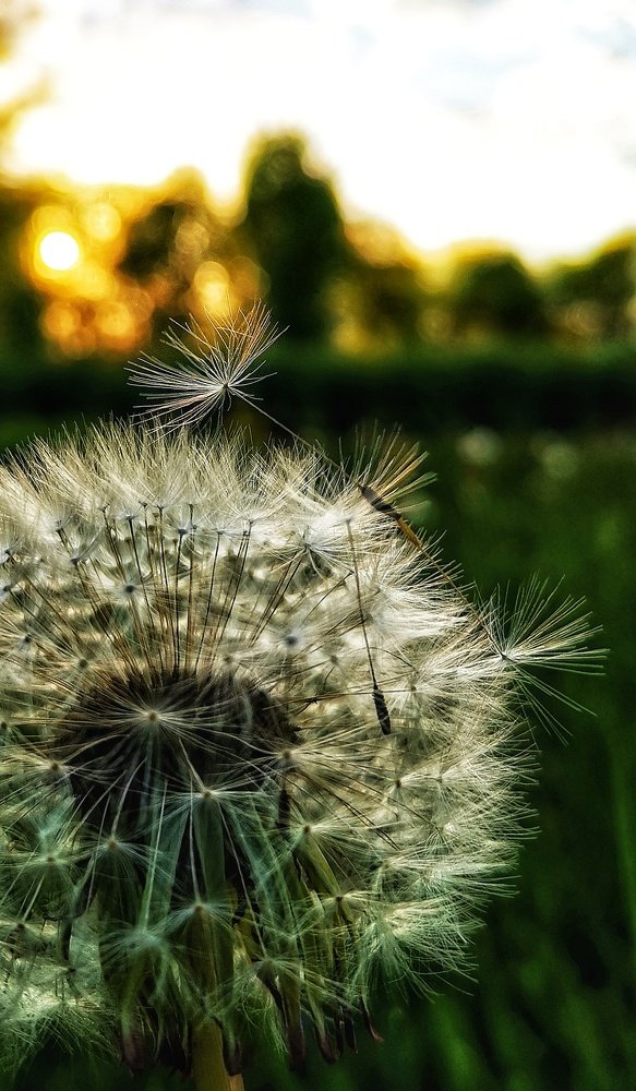 Photograph by Наталья Хортова