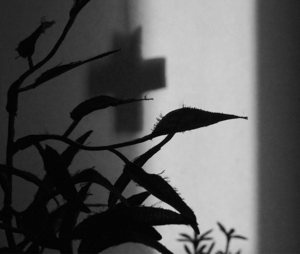 Photograph by Sona Sahakian