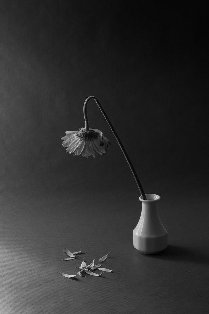 Photograph by Janek Moisavald