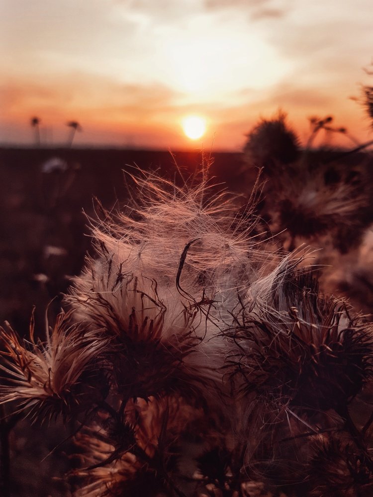 Photograph by Iгор Ситар