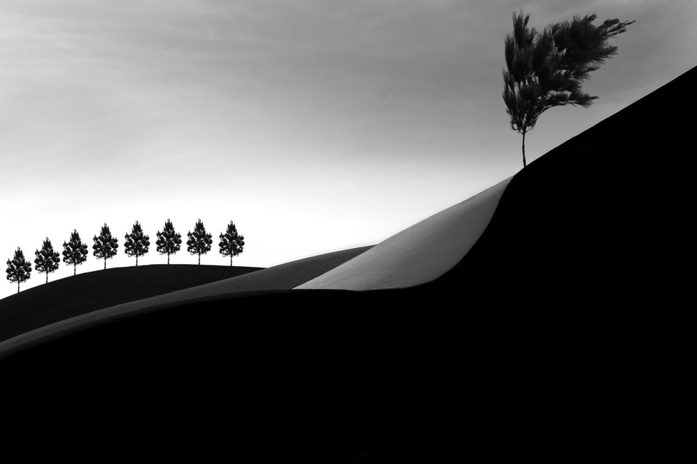 Photograph by Amir Masoud Arabshahi