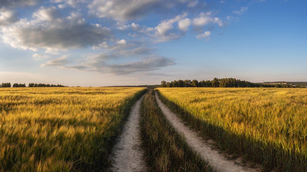 Photograph by Максим Мозжухин