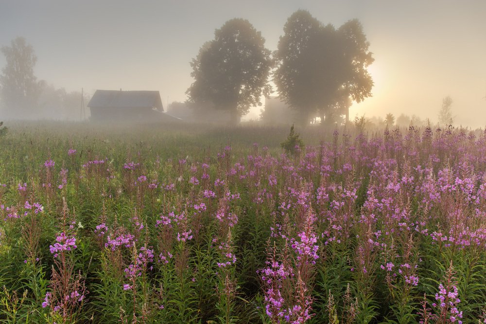 Фотография автора Виталий Смелик