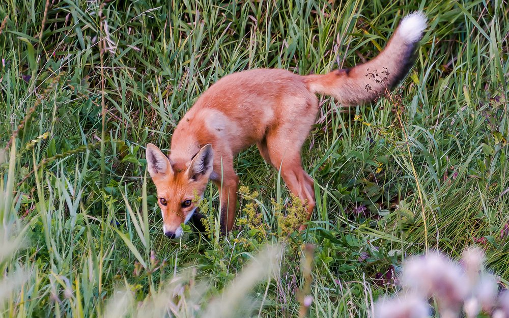 Случайная всреча