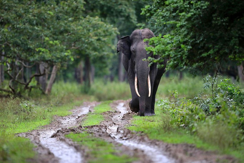 Photograph by Bhanu Kiran Botta