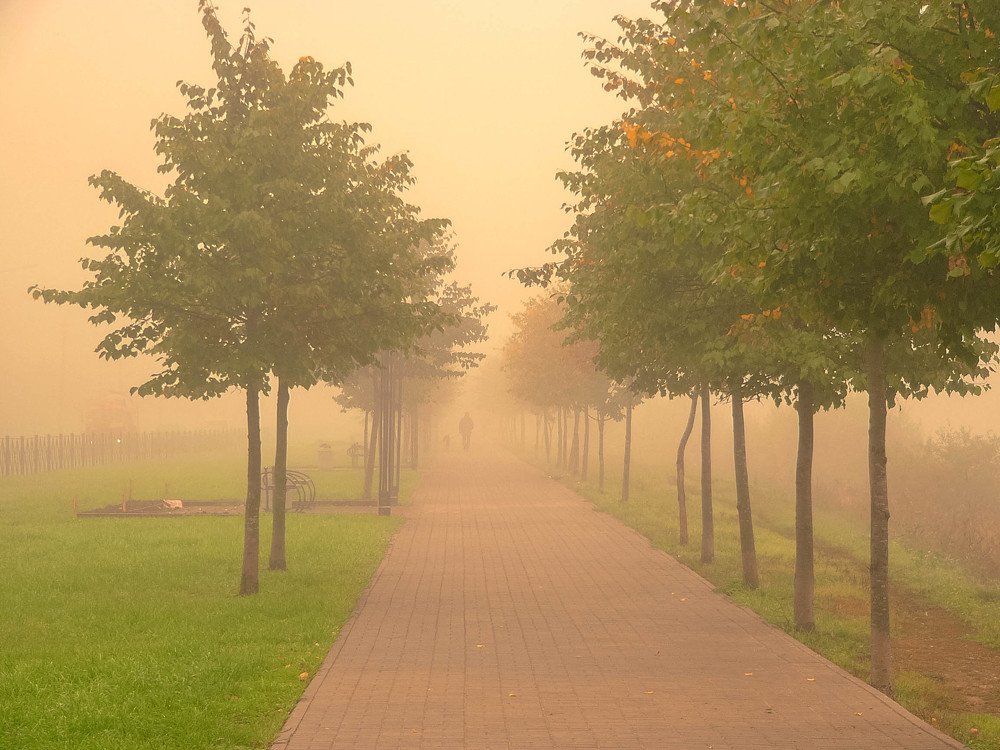 Photograph by Вадим Кондрат