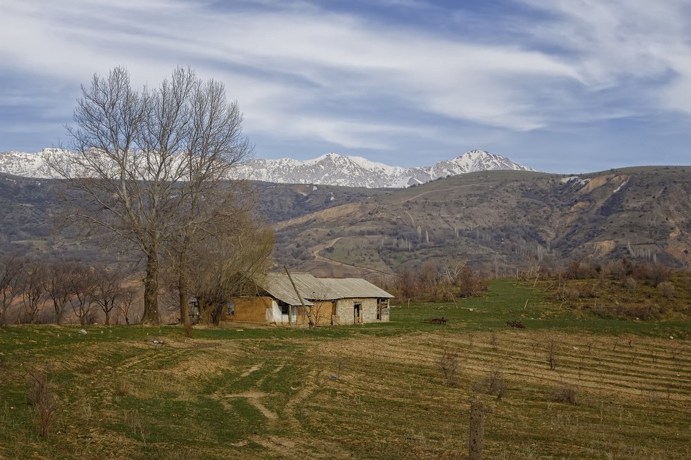 Photograph by Чунина Наталья