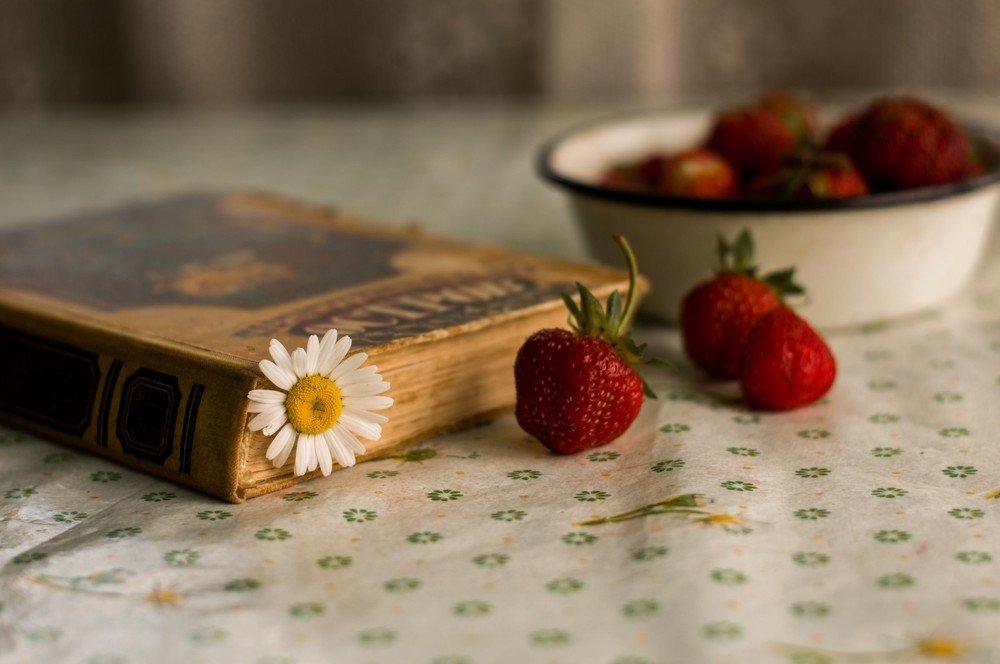 Photograph by Ольга Панфиленок