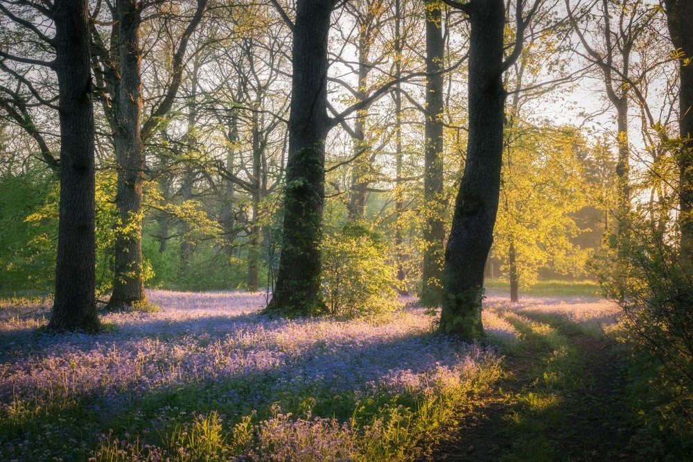 Photograph by Mark Keerd