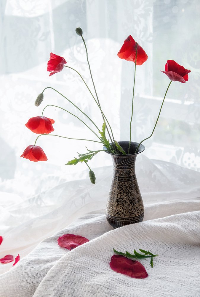 Photograph by Тамара Андреева