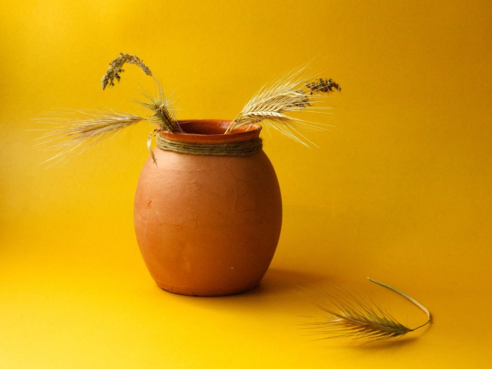 Photograph by Nargiza Karimova