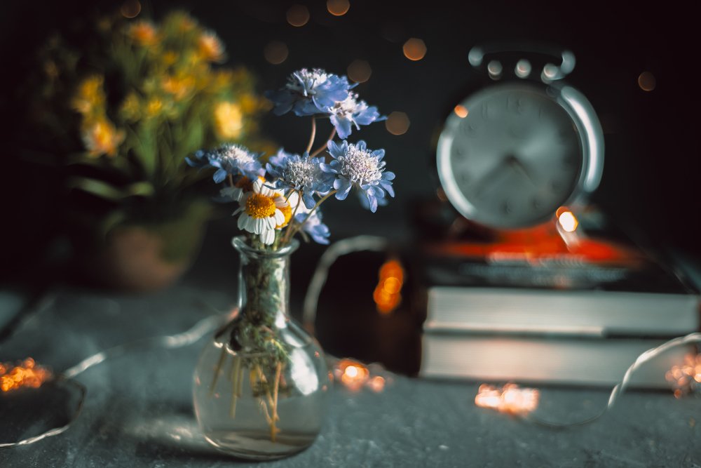 Photograph by Wail Hmd