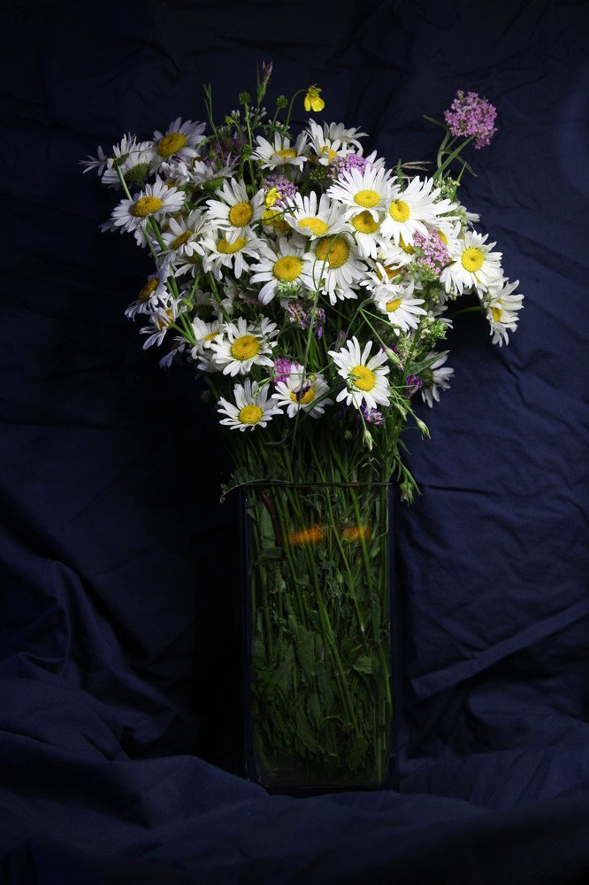 Photograph by Ксения Глубокова