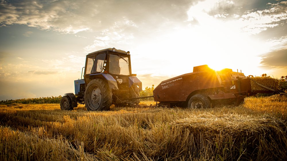 Photograph by Marine Meliksetyan