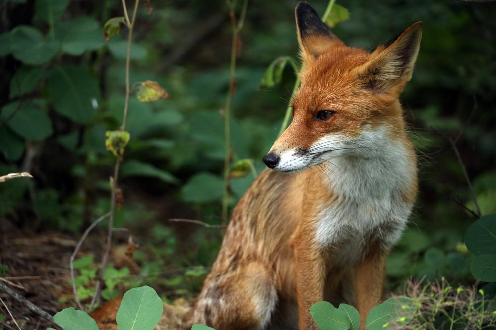 Photograph by Olga Oginskaya