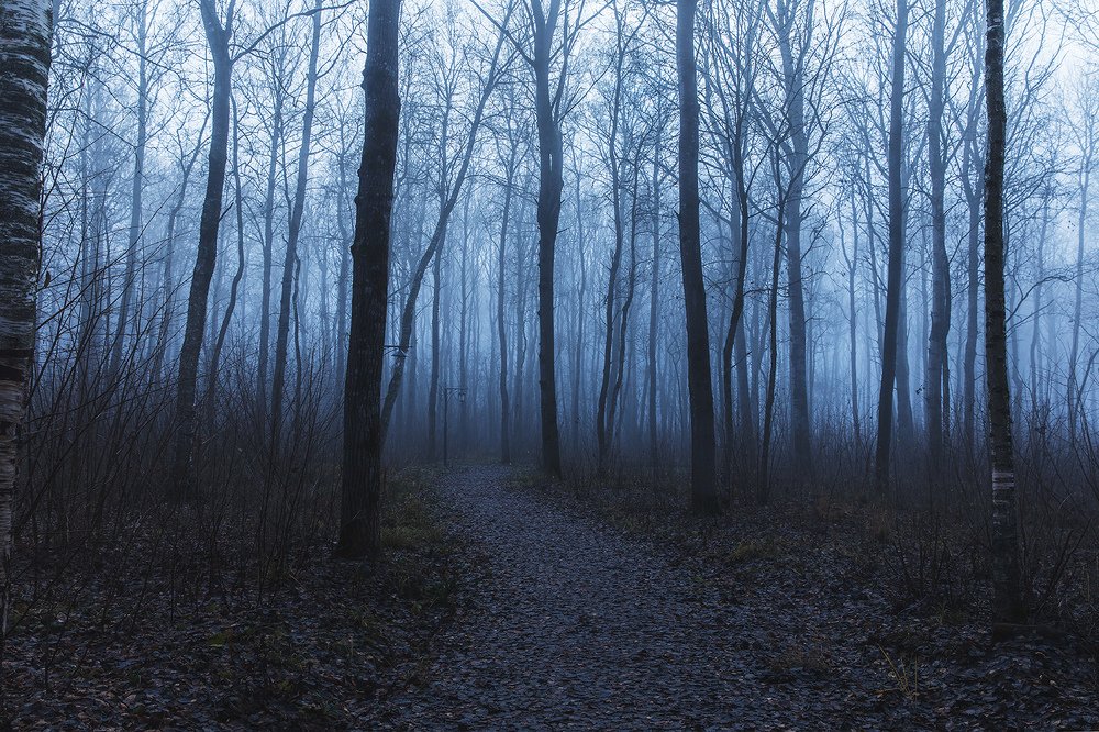 Photograph by Делана Романова