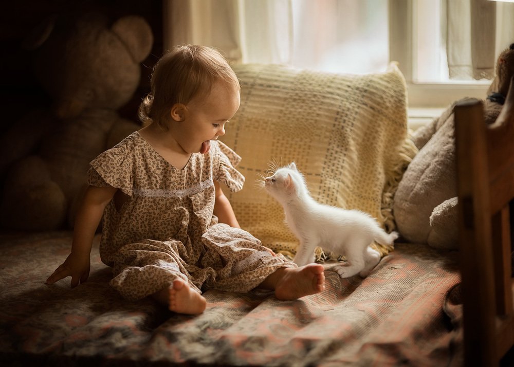 Я не ела твою котлету!