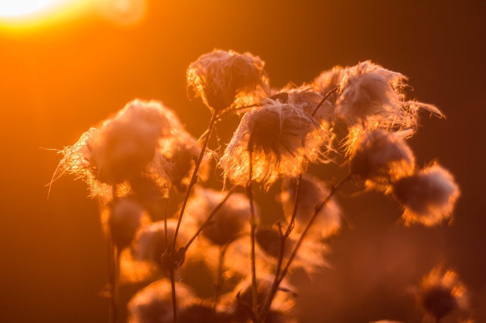 Photograph by Роман Троцан