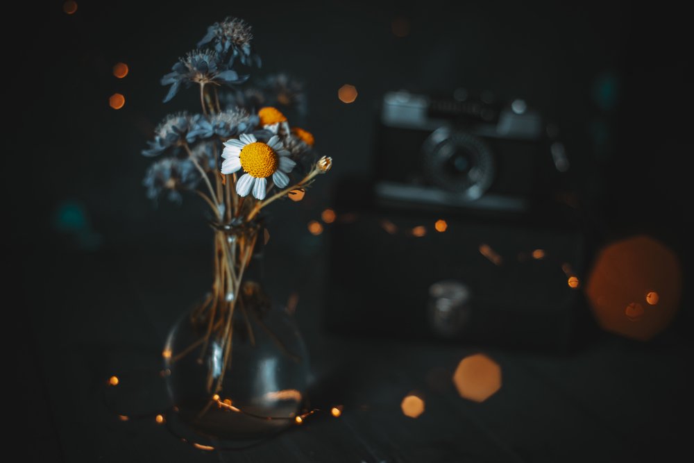 Photograph by Wail Hmd