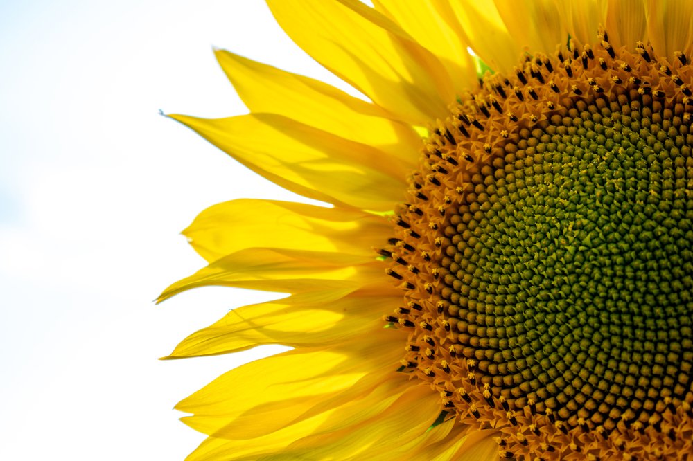 Photograph by Marine Meliksetyan