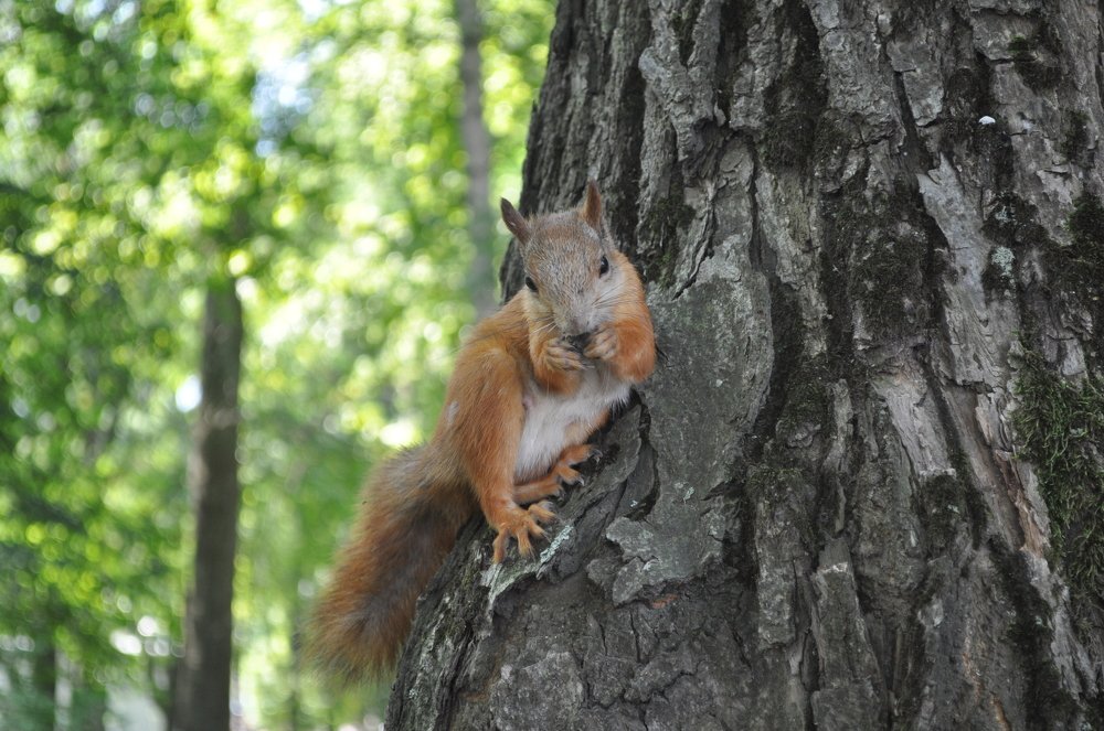 Photograph by Евгений Захаров
