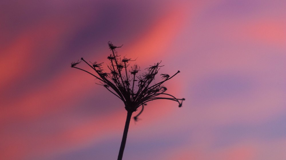 Photograph by Роман Троцан