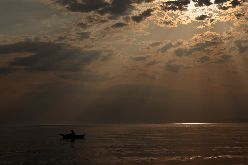 Photograph by Алексей Гурылев