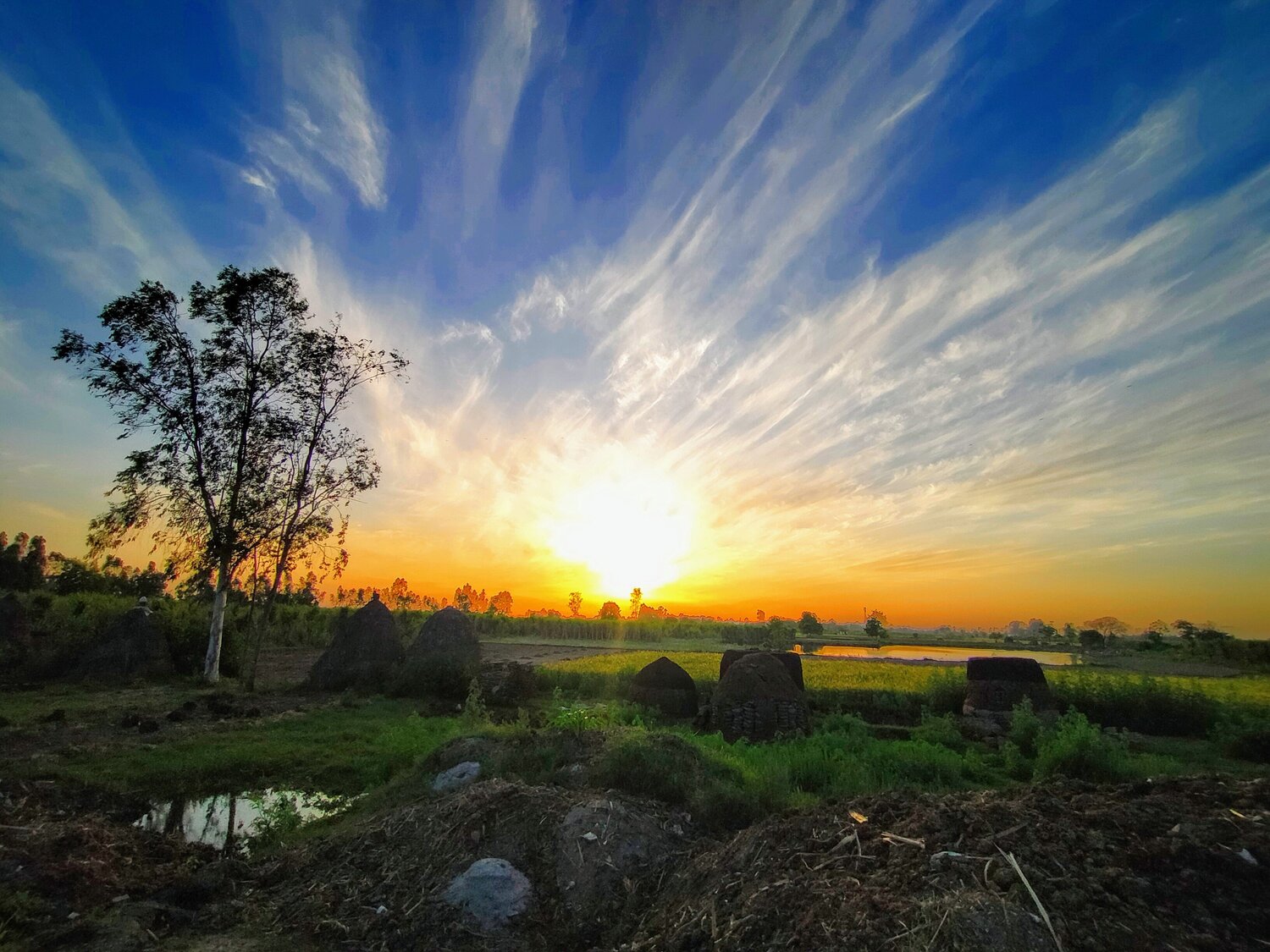 Photo #4774292