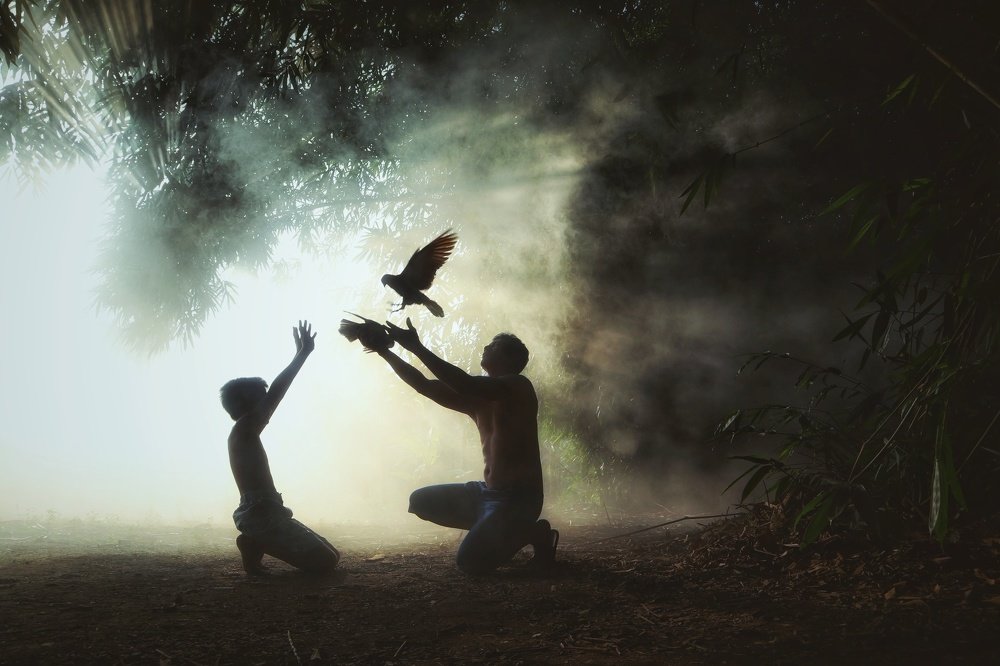 Photo #4774334
