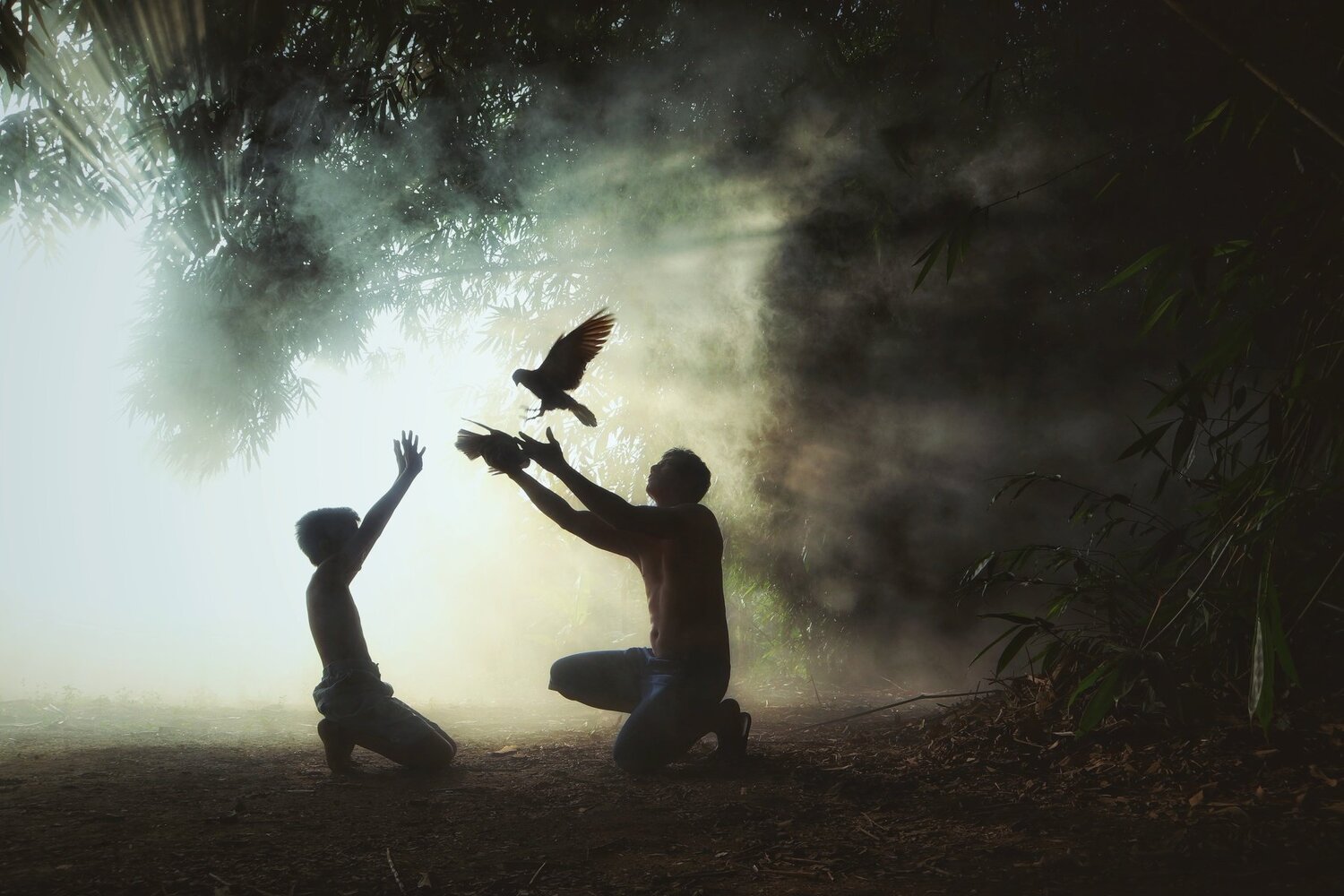 Photo #4774334