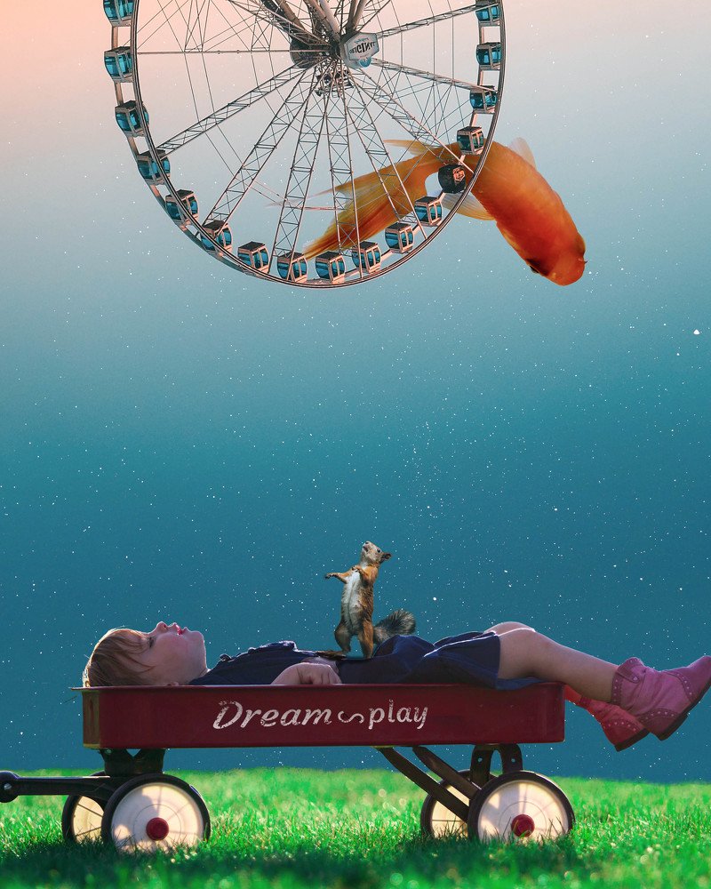 Photograph by Amirsoheil Vahedizadeh