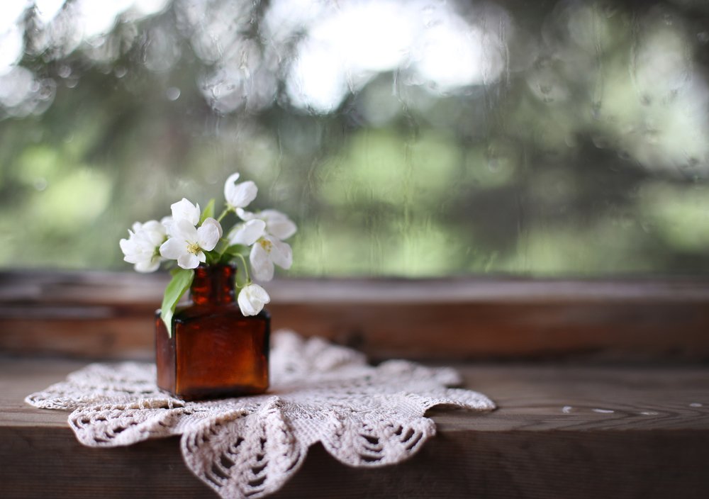 Фотография автора Шутенкова Евгения