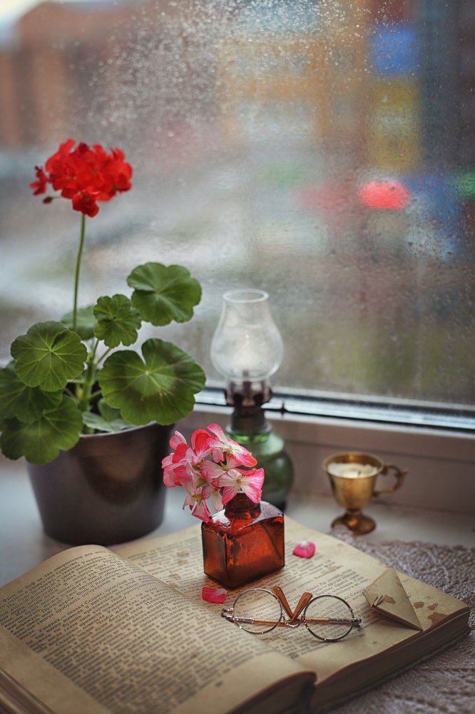 Фотография автора Шутенкова Евгения