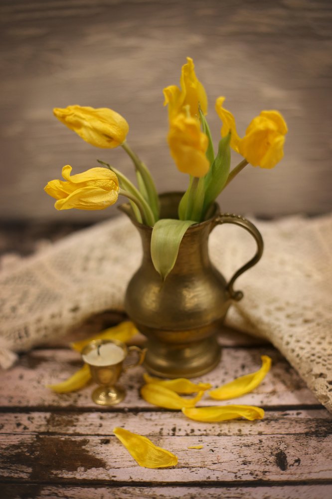 Фотография автора Шутенкова Евгения