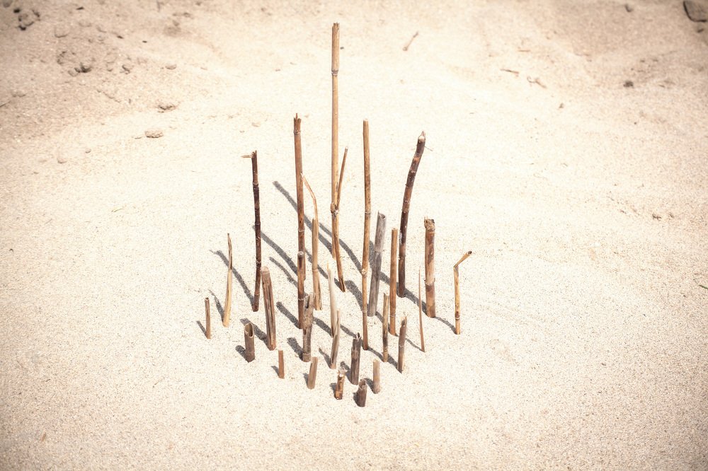 Photograph by Екатерина Оспанова