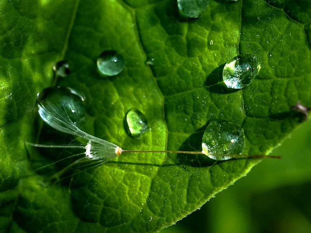 Photograph by mikhail goryachev