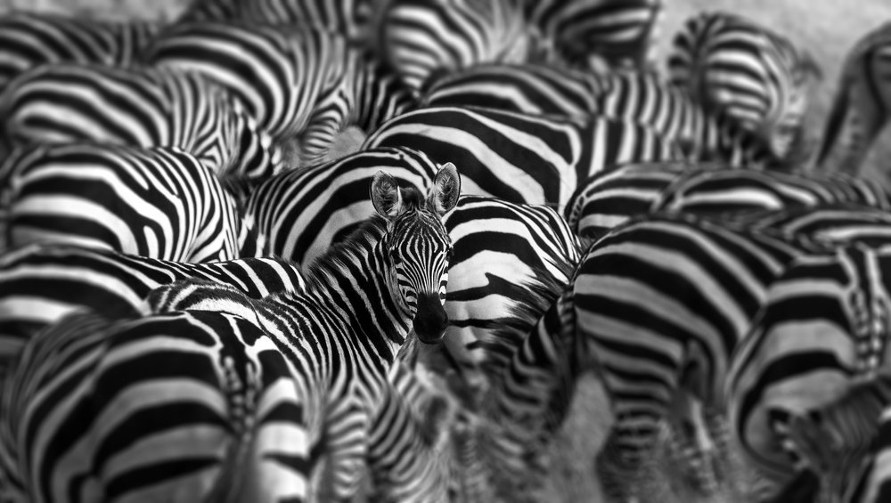 Photograph by HITTHEROAD